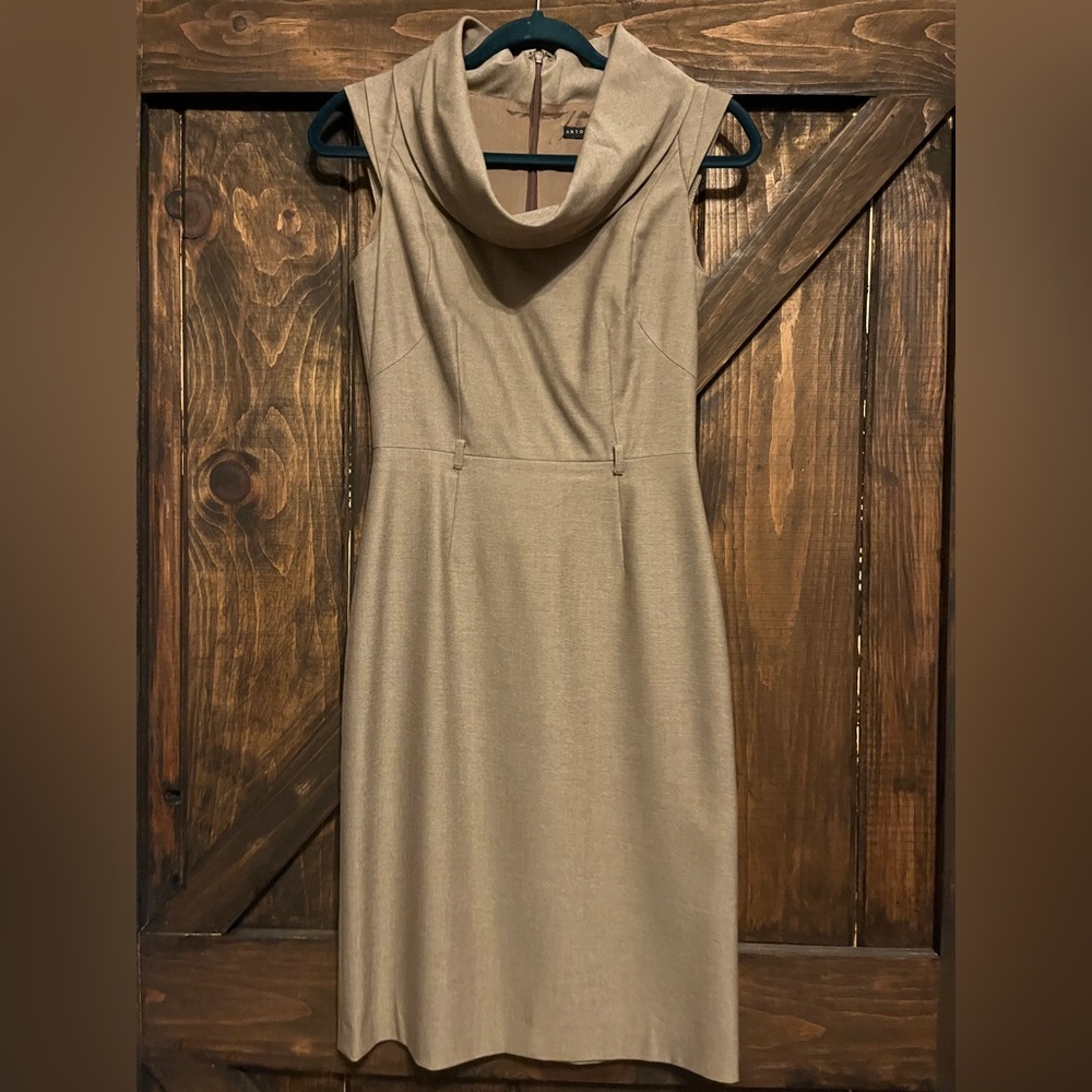 Antonio Melani Collared Dress